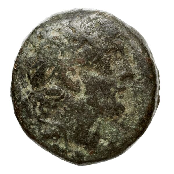 аверс Seleucid Coins (part 2) 2364