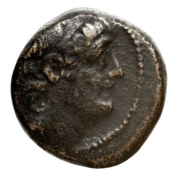 аверс Seleucid Coins (part 2) 2373