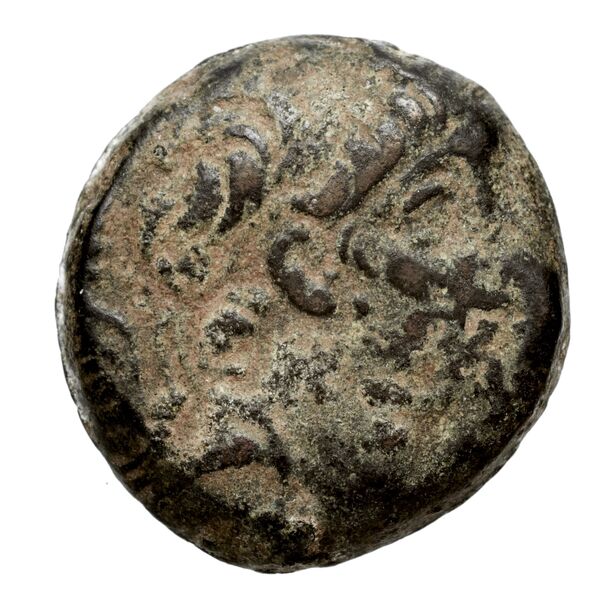 аверс Seleucid Coins (part 2) 2364.1c