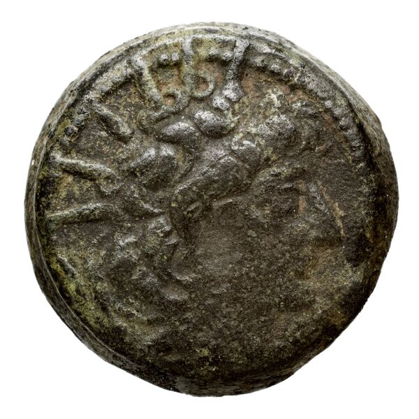 аверс Seleucid Coins (part 2) 2237.1