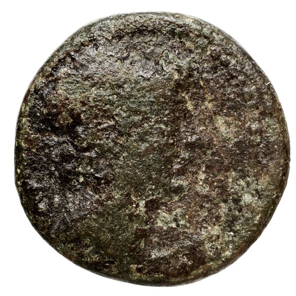 аверс Seleucid Coins (part 2) 2425