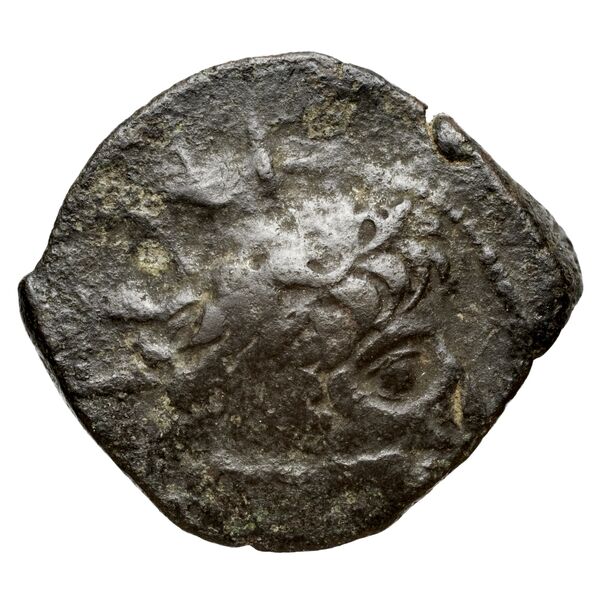 аверс Seleucid Coins (part 2) 2237