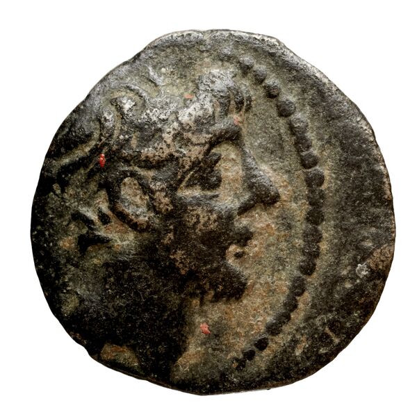 Seleucid Coins (part 2) 2364, аверс, bnf-hrc