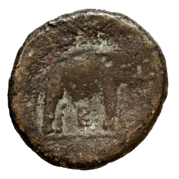 reverse Seleucid Coins (part 1) 128a