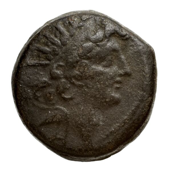 аверс Seleucid Coins (part 2) 2300.1