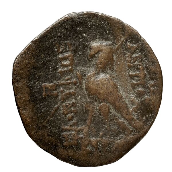 реверс Seleucid Coins (part 2) 2300.1