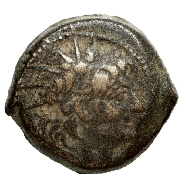 аверс Seleucid Coins (part 2) 2233.1a