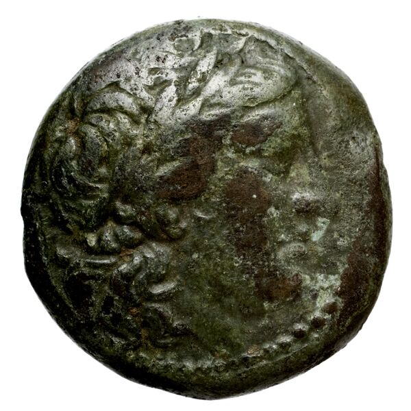 obverse Seleucid Coins (part 1) 15.1