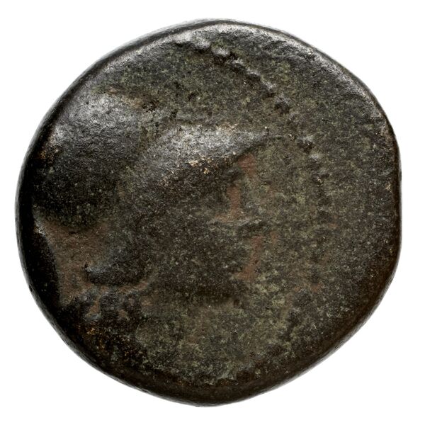 аверс Seleucid Coins (part 1) 695