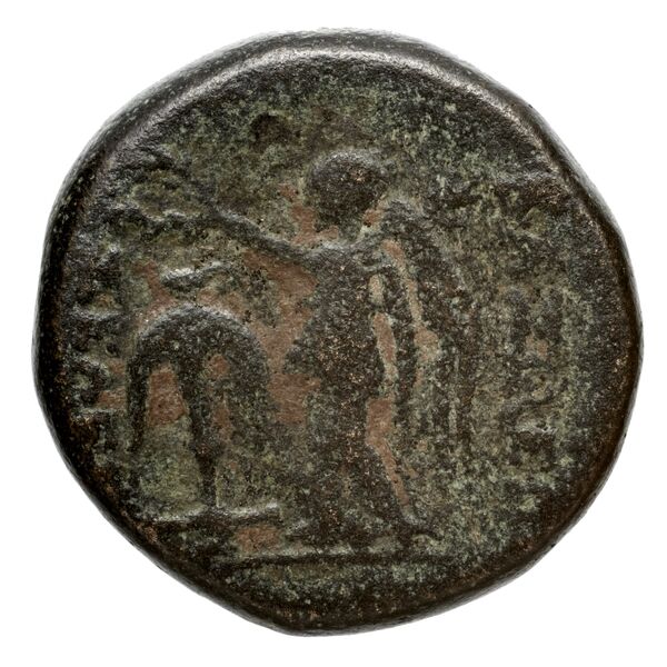 реверс Seleucid Coins (part 1) 695