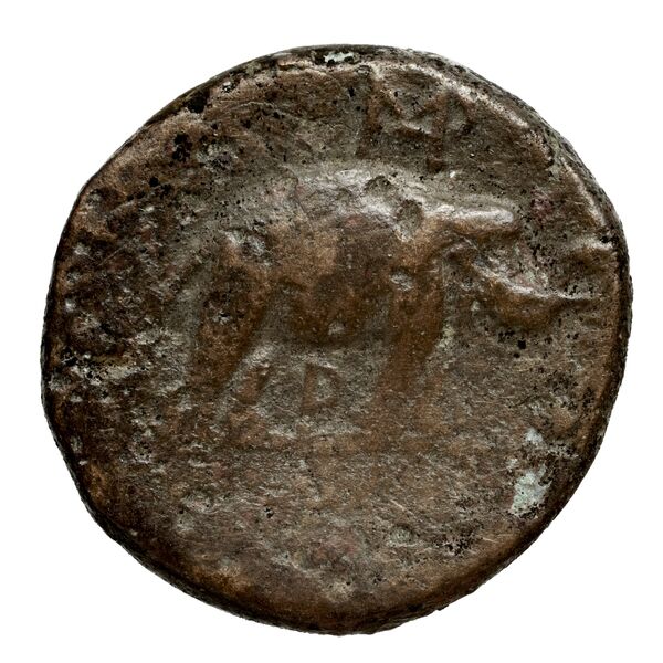 reverse Seleucid Coins (part 1) 128b
