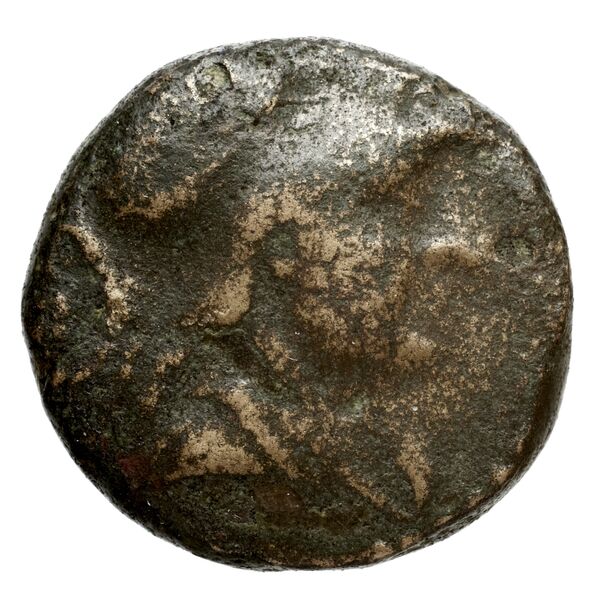obverse Seleucid Coins (part 1) 713.1a