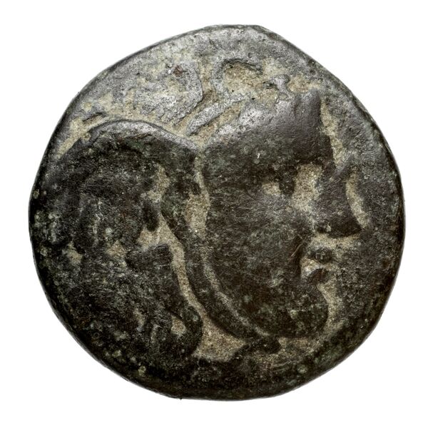 Seleucid Coins (part 1) 21.2b, аверс, bnf-hrc