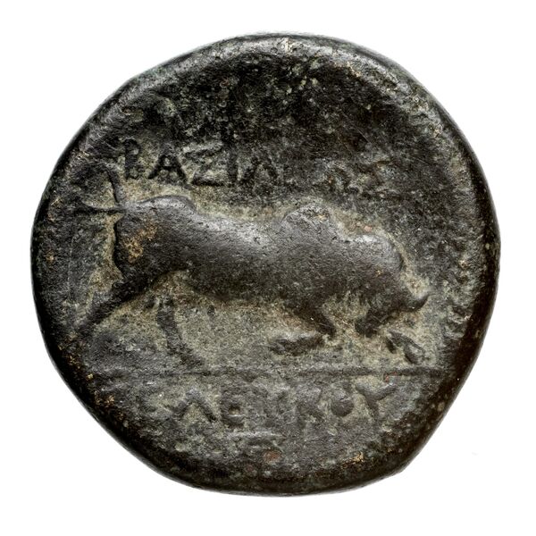 Seleucid Coins (part 1) 21.2b, реверс, bnf-hrc