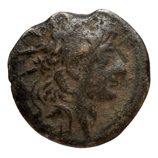 аверс Seleucid Coins (part 2) 2237.1b