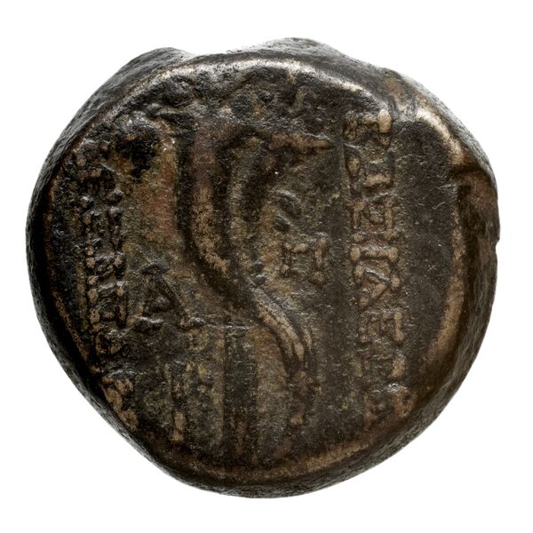 реверс Seleucid Coins (part 2) 2237.1b