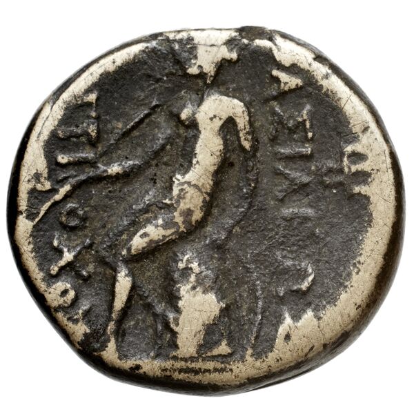 reverse Seleucid Coins (part 1) 351.1a