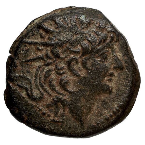 Seleucid Coins (part 2) 2233.1a, аверс, bnf-hrc
