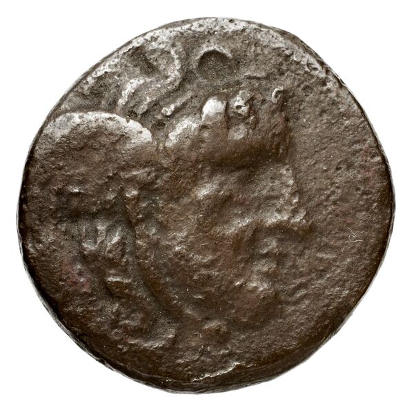 obverse Seleucid Coins (part 1) 21.2