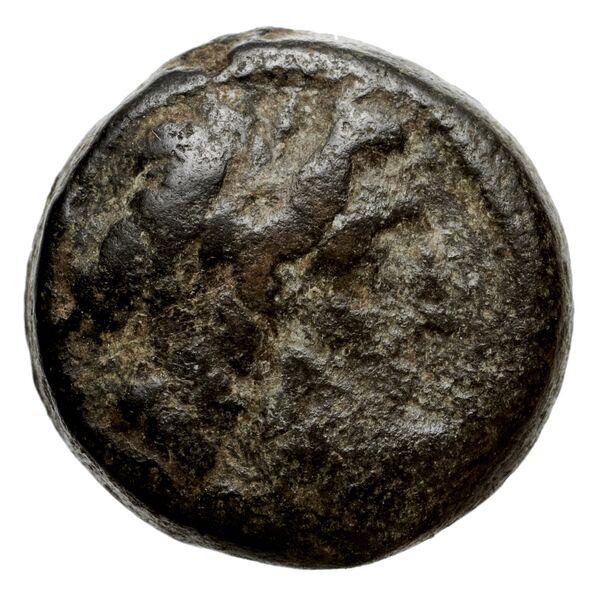 аверс Seleucid Coins (part 2) 2170