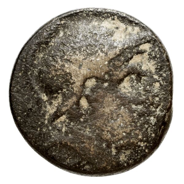 аверс Seleucid Coins (part 2) 1790