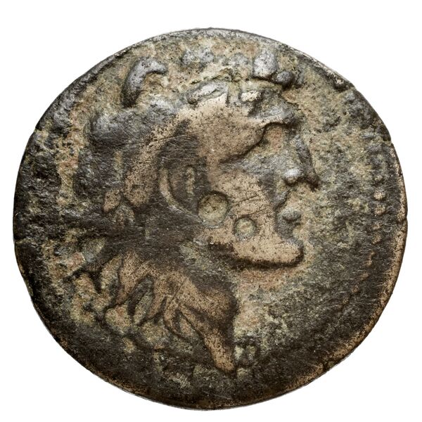 Seleucid Coins (part 2) 1805.1a, аверс, bnf-hrc