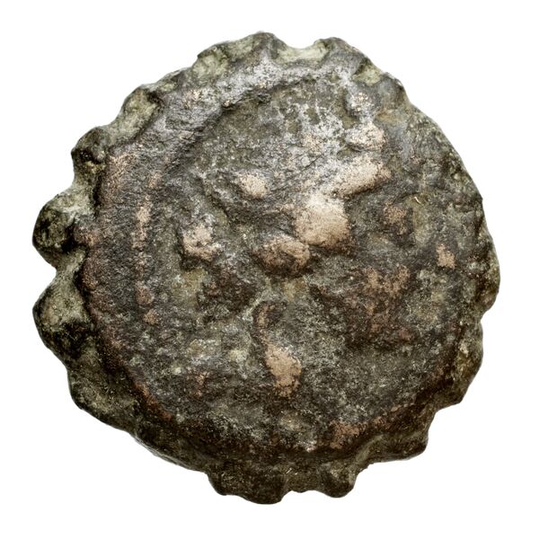 Seleucid Coins (part 2) 2242, аверс, bnf-hrc