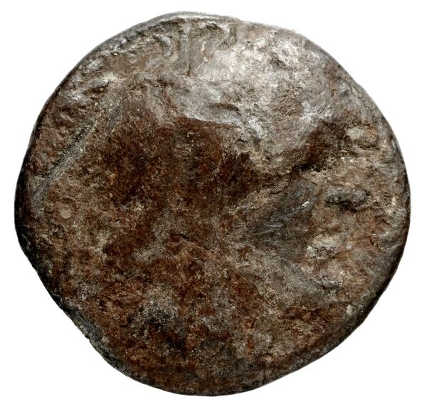 Coins of the Ptolemaic Empire Vol. I, Part 1, no. 142, obverse, bnf-hrc