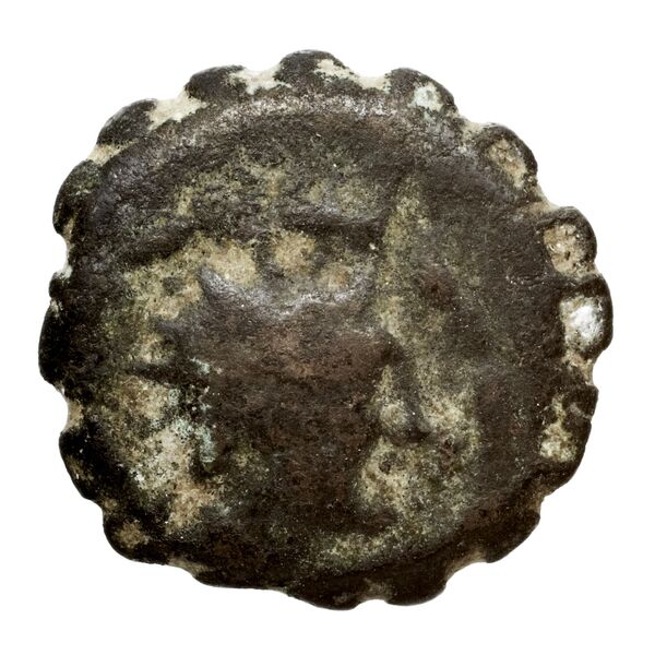 Seleucid Coins (part 2) 1479, аверс, bnf-hrc