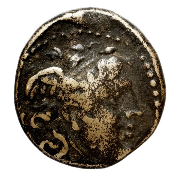 Seleucid Coins (part 1) 21.2, аверс, bnf-hrc