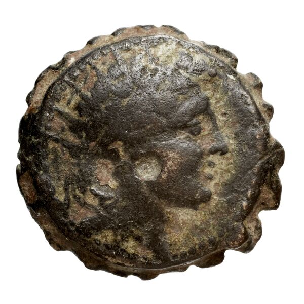 Seleucid Coins (part 2) 2023, аверс, bnf-hrc