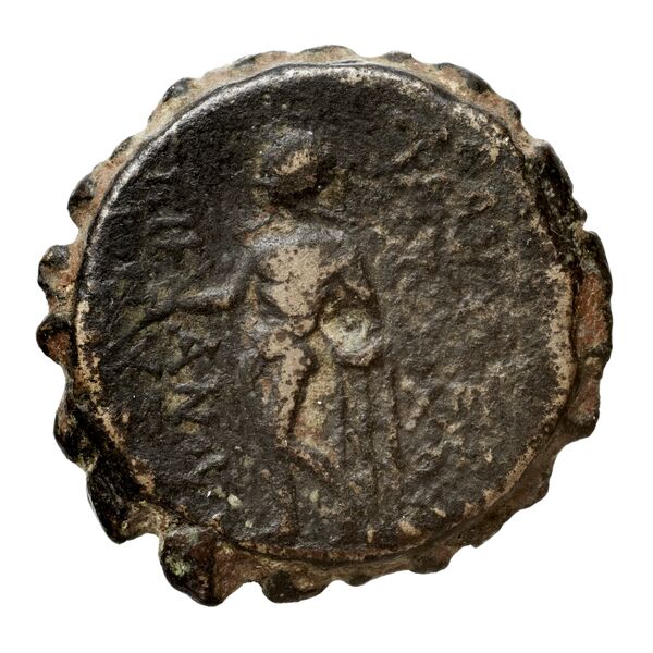 Seleucid Coins (part 2) 2023, реверс, bnf-hrc