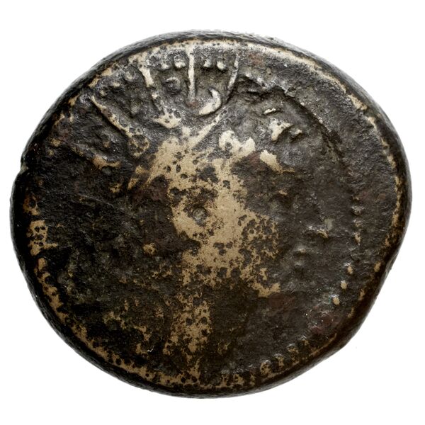 аверс Seleucid Coins (part 2) 1499