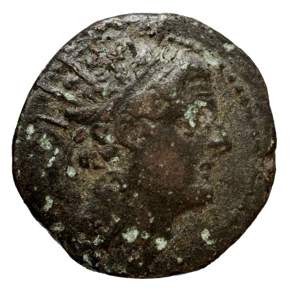 Seleucid Coins (part 2) 1499d, аверс, bnf-hrc