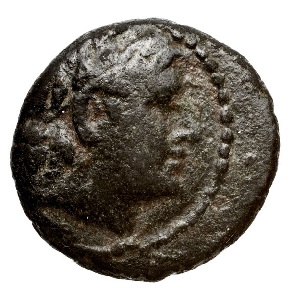 obverse Seleucid Coins (part 1) 1049