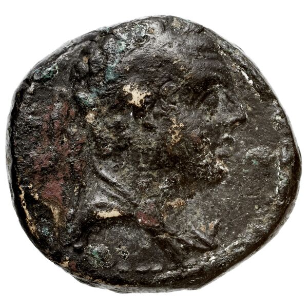 obverse Seleucid Coins (part 2) 1430