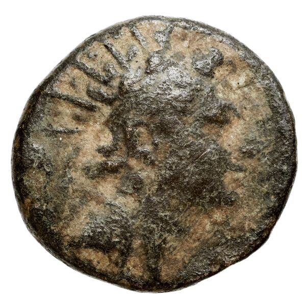 Seleucid Coins (part 2) 1437, аверс, bnf-hrc