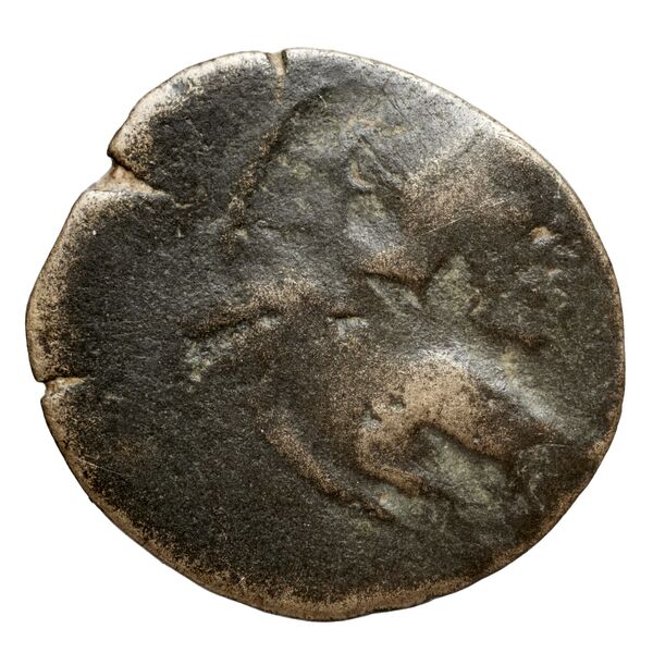 аверс Seleucid Coins (part 2) 2067.3b
