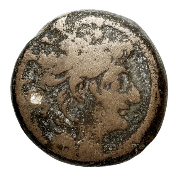 аверс Seleucid Coins (part 2) 2237.1e