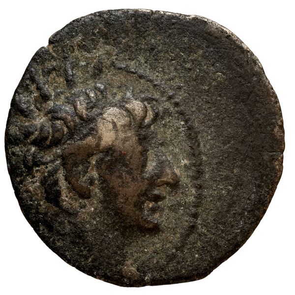 аверс Seleucid Coins (part 2) 2237.1a