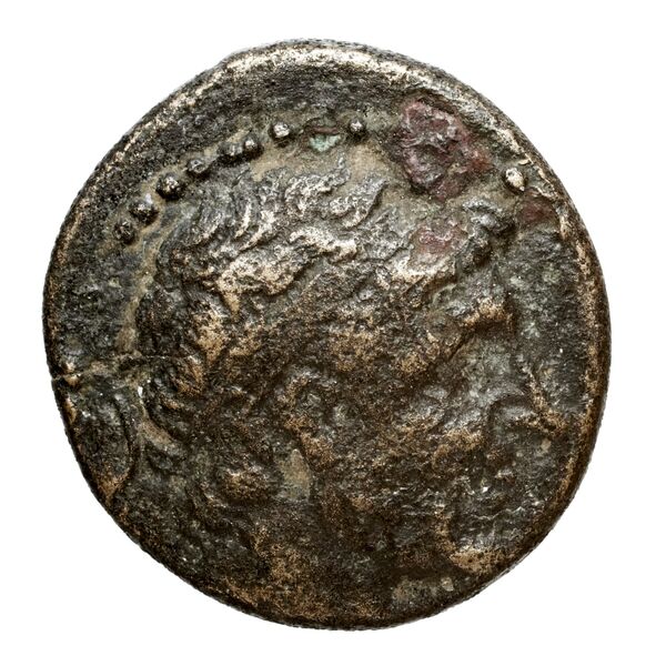 Seleucid Coins (part 1) 351.1a, аверс, bnf-hrc