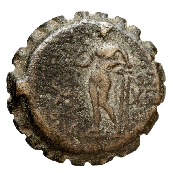 Seleucid Coins (part 2) 2023, реверс, bnf-hrc