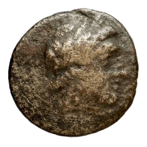 аверс Seleucid Coins (part 1) 528.3