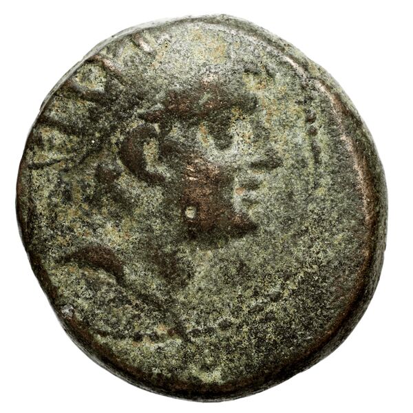 аверс Seleucid Coins (part 2) 2015
