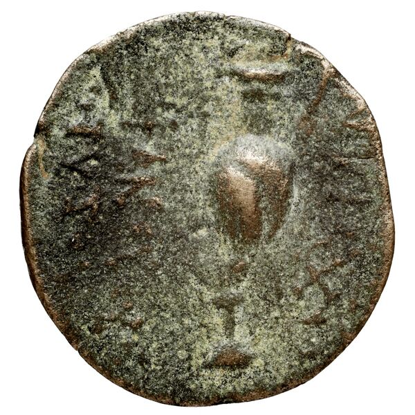 реверс Seleucid Coins (part 2) 2015