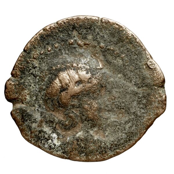 Seleucid Coins (part 2) 2388, аверс, bnf-hrc