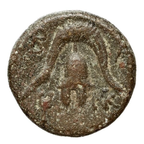 Price 3162, реверс, bnf-hrc