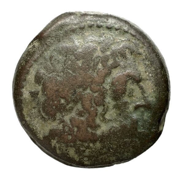 Coins of the Ptolemaic Empire Vol. I, Part II, no. B196, аверс, bnf-hrc