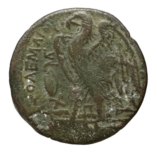 Coins of the Ptolemaic Empire Vol. I, Part II, no. B196, реверс, bnf-hrc
