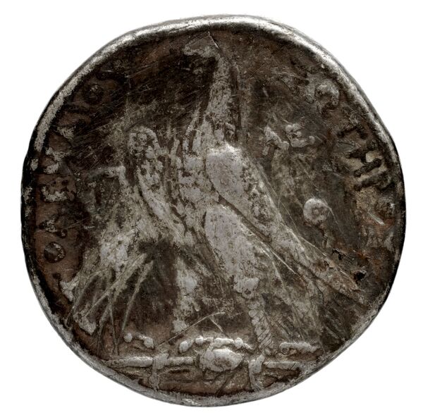 Coins of the Ptolemaic Empire Vol. I, Part 1, no. 672, реверс, bnf-hrc